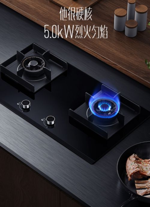 ���������(d��ng)ȼ!�A��5.0kWȼ?x��)������㡰��ʹ�N�Ǽ�ʢ��