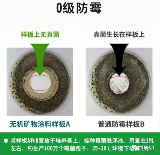 ĵ��ˮ�ᡪ���o�C�V��Ϳ�ϴ��콡���ҾӺ�����!