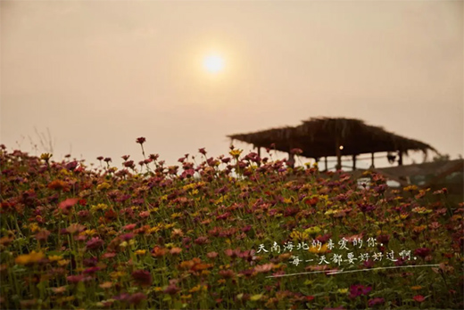 �_����ˇ�g(sh��)Ϳ�ϣ���һ�N�ζ������ʽ�ζ!