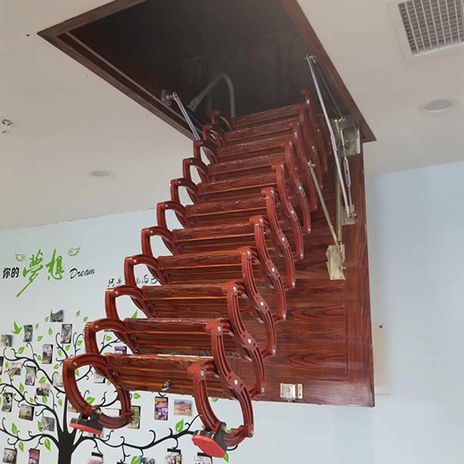 �����gȫ�ݶ�����������2020�ҾߘI(y��)��(n��i)������