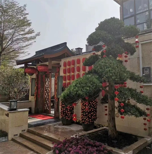 �V���X�I(y��)2021�꣺�{(di��o)���²��ԣ��I(y��ng)�����L(f��ng)��!