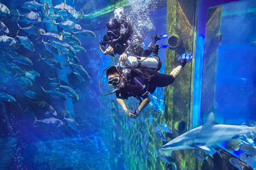 ���L(f��ng)���ˣ�����δ��(l��i)!2021�_���ʠI(y��ng)�N��(hu��)�h��������