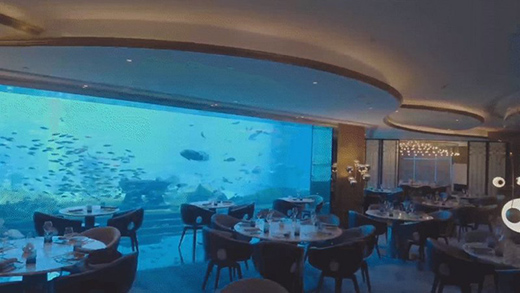 ���L(f��ng)���ˣ�����δ��(l��i)!2021�_���ʠI(y��ng)�N��(hu��)�h��������