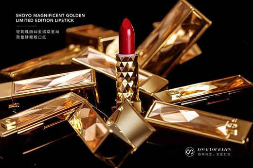 ȫ�������װl(f��) | SHOYO�p��������ذ�ڼtҫĿ����(l��i)