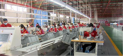 ����������Ь�����l(f��)չ���͹��I(y��) �Ƅ�(d��ng)�h��(j��ng)��(j��)��(chu��ng)�°l(f��)չ