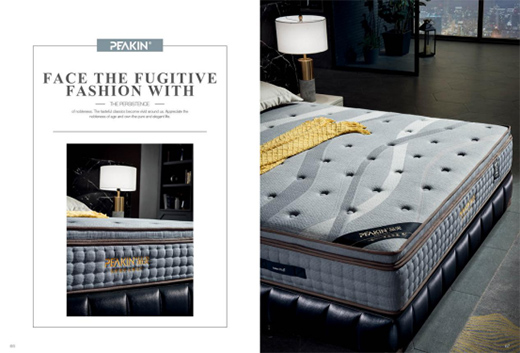 PEAKINƷ�� ���҂����^���L(zh��ng)�������q��