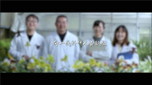 ��ʯ����20����Ĳ��� �A�����o��ֲ���Ĵ���؈��