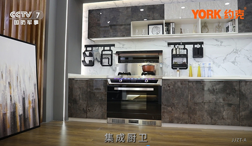 ����һ����L(zh��ng)��Ԓ(hu��) YORK�s�˻������v���l(f��)չ����