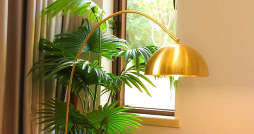 ���ИI(y��)�l(f��)չڅ��(sh��)�����x��Ӱ��ث@��ȫ�~���ȫ��(gu��)�N(xi��o)����һ��!