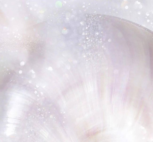 ѩ����ح������s����ğ��ס��y�����ѵǈ�(ch��ng)