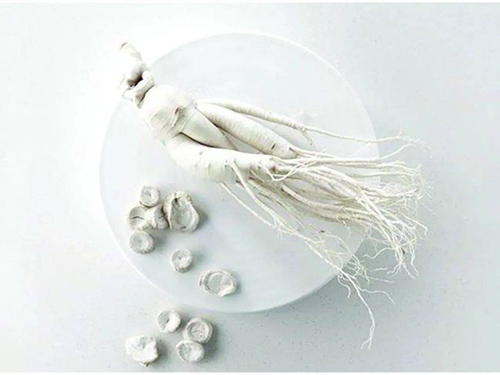 ѩ����ح������s����ğ��ס��y�����ѵǈ�(ch��ng)