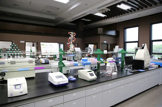 315���M�ߙ�(qu��n)�����������������С�