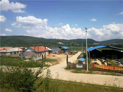 �����������Sţ�� ���콡���ʳ���L(f��ng)��