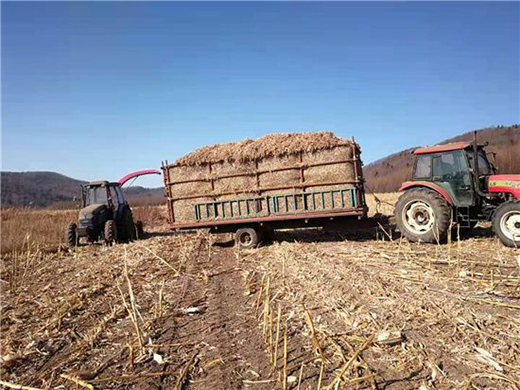 �����������Sţ�� ���콡���ʳ���L(f��ng)��