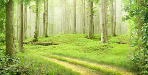 �����\(y��n)��(d��ng)Ӌ(j��)�� ASHER���O(sh��)�w������һ��֮��