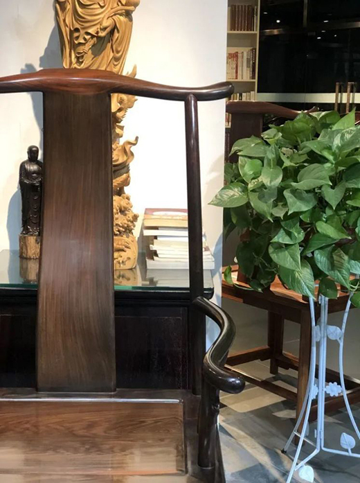 ���tľ�Ҿ����������_ʼ