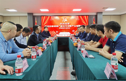 ����ף�R�h(yu��n)���w���h֧��ί�T����ʽ����!