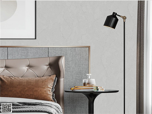 ���R�Ʊڼ���׌ˇ�g(sh��)�o����������һ�ӵ�ɫ��