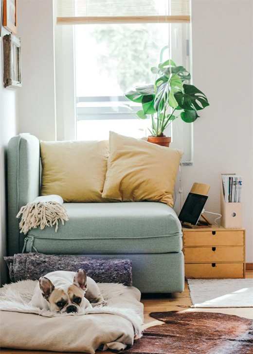 �����o�ҡ� | �ļ��������Դ����o������