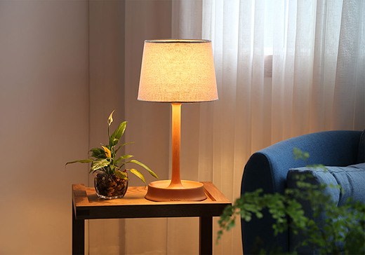 �Լ������� ����쾫��