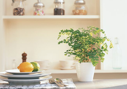 �A�ۑ�(zh��n)����ß������b����Nģʽ�������