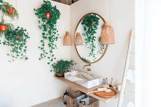 Ľ��ľ�T������ԭ��������Ȼ�ė�Ϣ