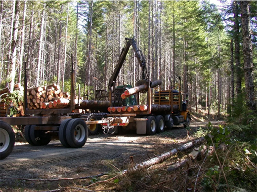 ���Ļ����������M�M | Ī��ɽ�ذ�Ʒ�Ʒ���(w��)���Wҫȫ��