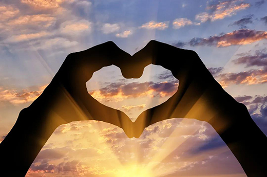 �|����磺��������ֹ����