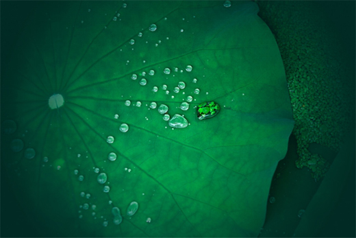 ������N��Ʒ�ƿ��ͺ������I(l��ng)Ʒ�|(zh��)�N���������w�