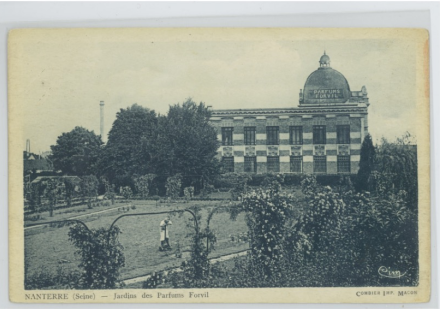 ����Ʒ��FORVIL��ɯɭ�������I���o�wʽ�o�l(f��)���³���