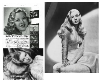 ����Ʒ��FORVIL��ɯɭ�������I���o�wʽ�o�l(f��)���³���