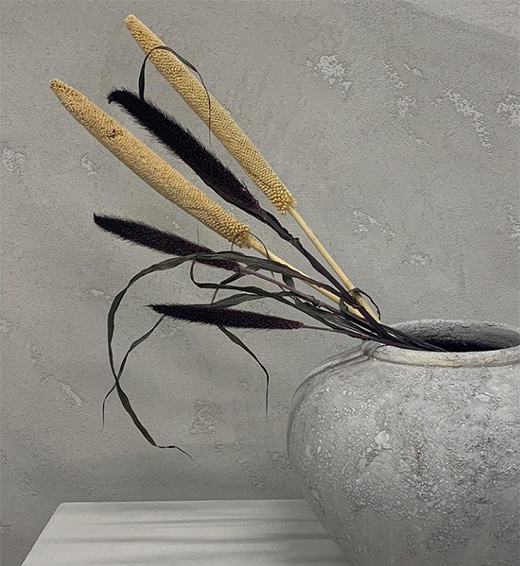 ����ؐ�� | �XһĨ��ɫ�����[���¸��{(di��o)