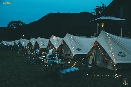 ALLIE�}�����I(y��)�������N�ĺ��o(h��)¶�I(y��ng)�w�(y��n)