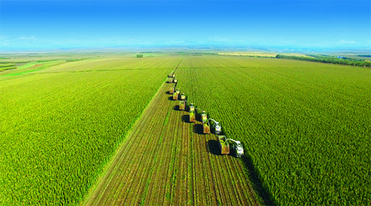 �w�Q�̷��I(l��ng)����ռ�ʛ_��19%����؛��������