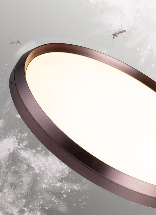 һ��s��������������픟����s׌�Ҳ����s