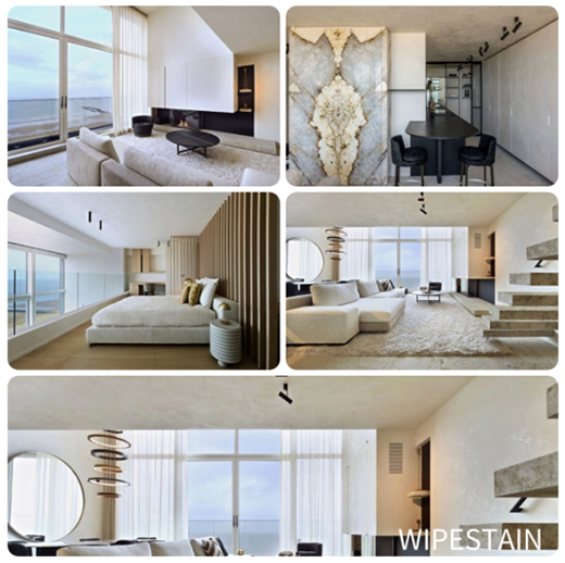 WIPESTAIN | ī�������I�e����Ⱦ�r(sh��)��