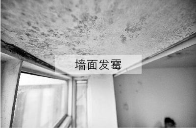 ��(gu��)����(d��ng)?sh��)�����ʿ���졪����ʿSOK�����Ʒ�|(zh��)���bͿ��