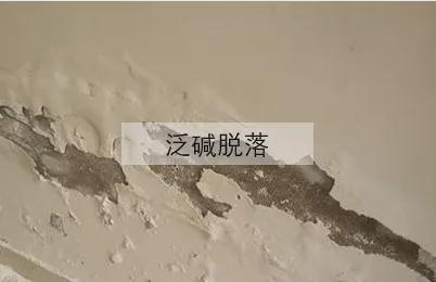 ��(gu��)����(d��ng)?sh��)�����ʿ���졪����ʿSOK�����Ʒ�|(zh��)���bͿ��