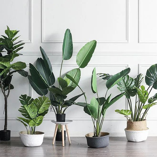 ��������Ļ��ϵ�е�������i�ҵĸ��ֵ!