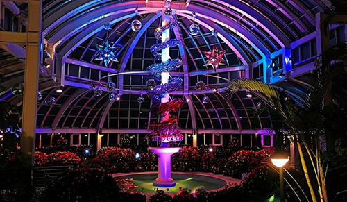 ��˹�Ǳ�����֮����(gu��)�����ռ������ß����c���ӭ������