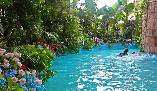 ��˹�Ǳ�����֮����(gu��)�����ռ������ß����c���ӭ������