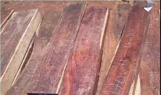 ��t��֦�Ҿߣ����M�롰���ƻ����r��