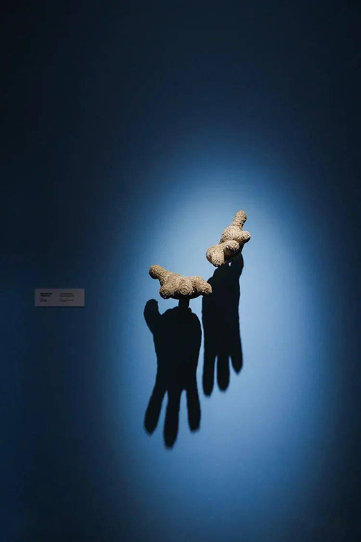 ����!�A������������ˇ�gչ���y�ֵ�ʿ���������Ʒ