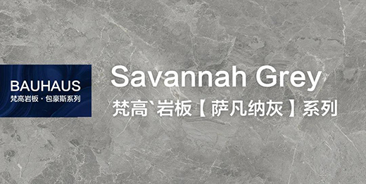 VANGOGH �_���{�� | ���Мضȡ��Ļ����շ�����ĸ߼�(j��)��