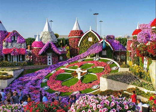 ��(chu��ng)������ֹ�������ܳɾ�ˇ�g(sh��)Ϳ���ИI(y��)��Ʒ��