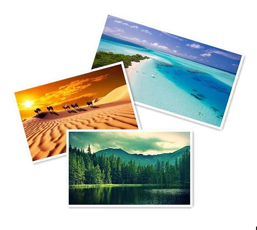 NEW ���c��Ȼ���������c�����N����Ȼ�΃�֮��