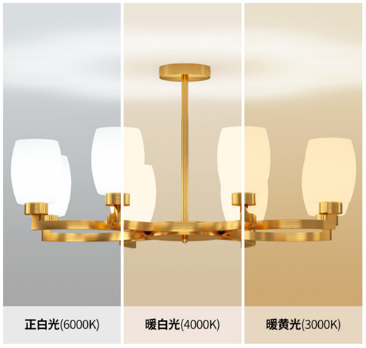 �c����Ʒζ���g ����������h(hu��n)���������������b���{