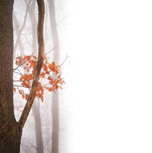 �����f�� | ��(y��u)���ذף�Ʒζ�o�k����!