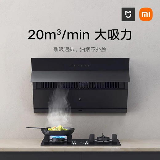 �]�]�����͟������׼҂�(c��)���������bS1