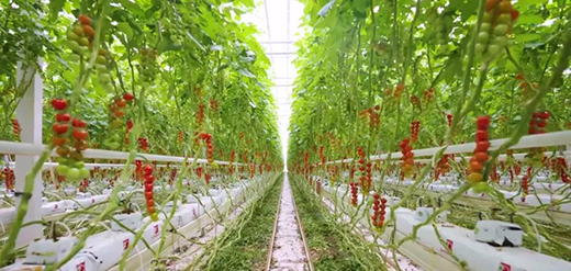 �W˾������Fluence LED�����������M(j��n)�����@���r(n��ng)�I(y��)�a(ch��n)�I(y��)�@